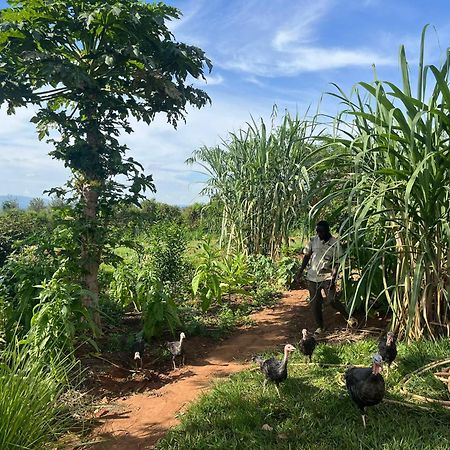 Rutete Eco Lodge Rwinkwavu 外观 照片