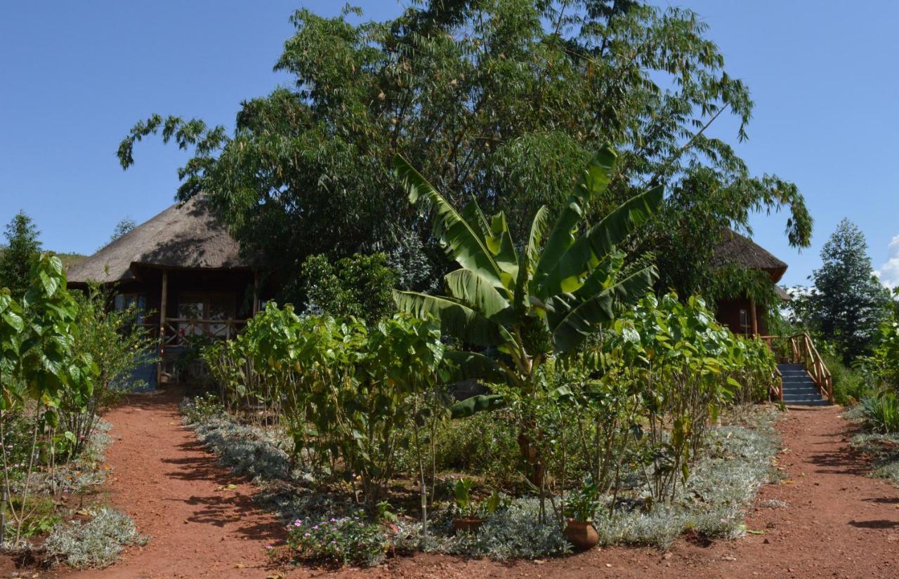Rutete Eco Lodge Rwinkwavu 外观 照片
