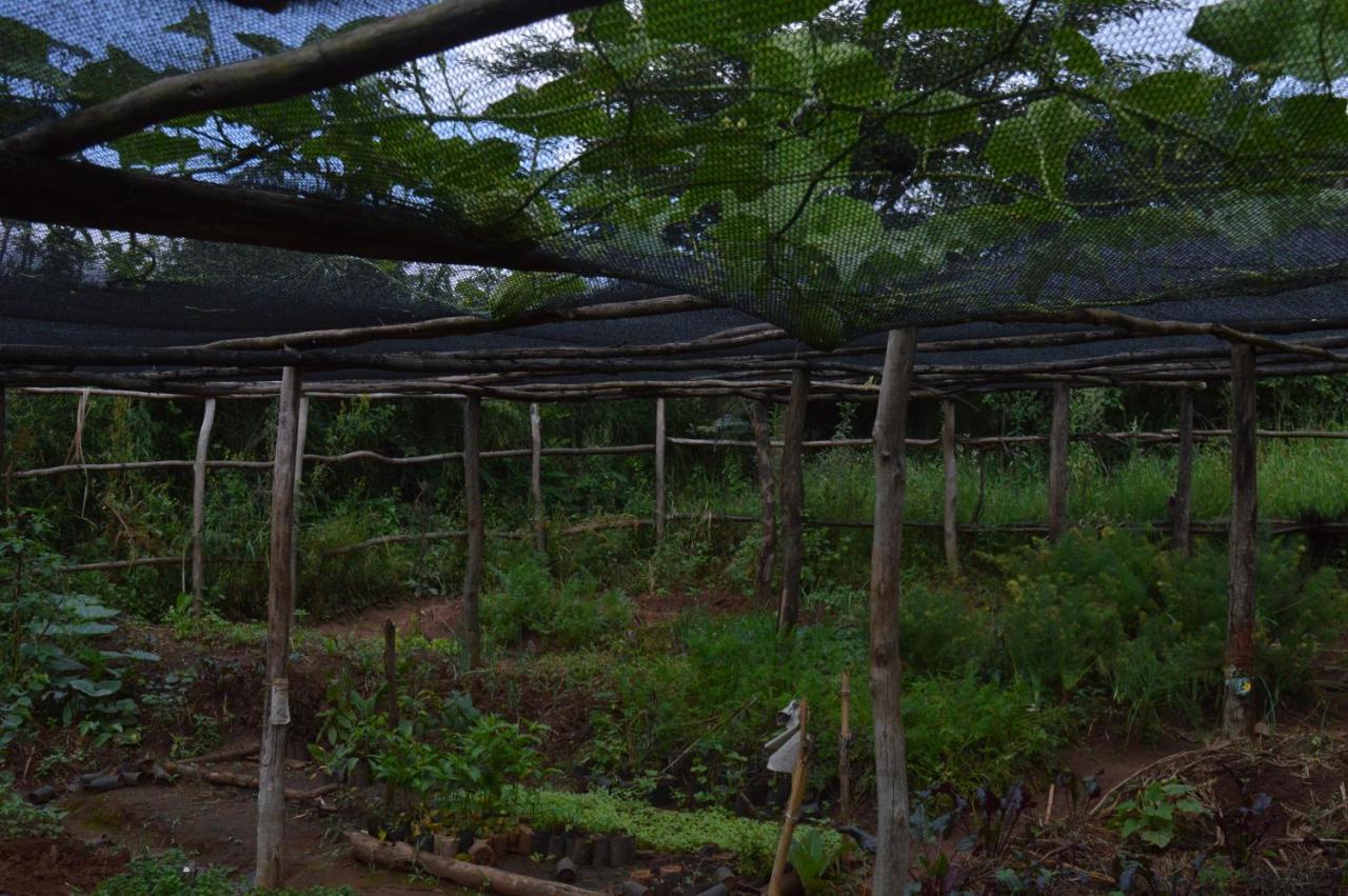 Rutete Eco Lodge Rwinkwavu 外观 照片