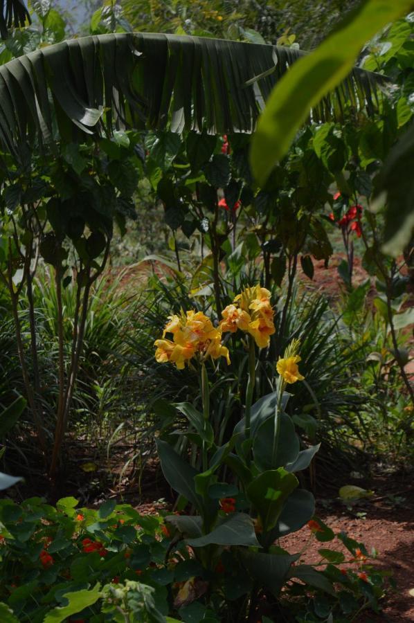 Rutete Eco Lodge Rwinkwavu 外观 照片