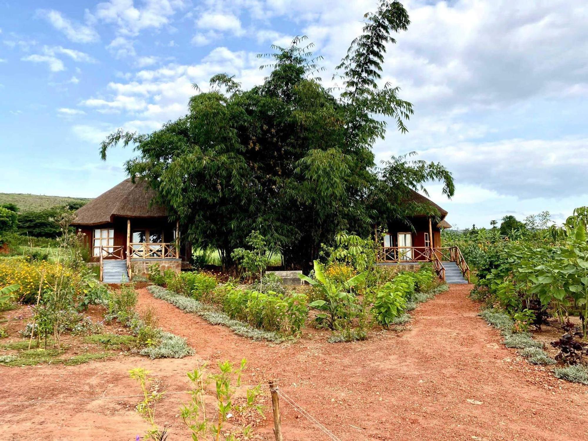 Rutete Eco Lodge Rwinkwavu 外观 照片